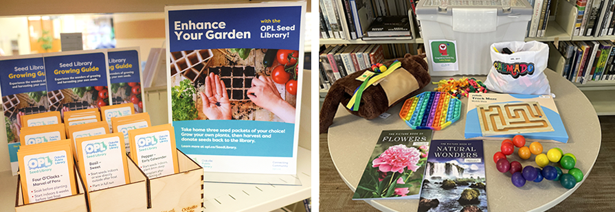 4a_SeedLib_CognitiveCare-(1).png 4a_SeedLib_CognitiveCare-(1).png