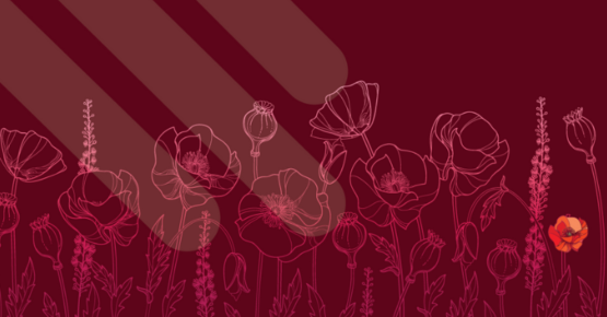 Graphic design showing an outline of poppies against a red background. White, transparent conversion lines extend from the top-left corner.