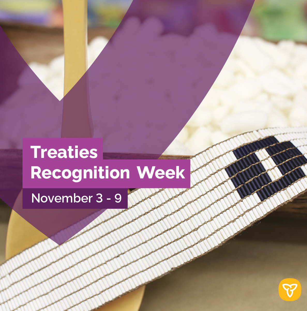 IAFNER24_FB2-(1).png IAFNER24_FB2-(1).png