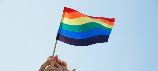 pride.png pride.png
