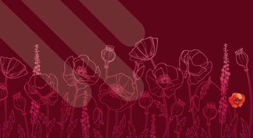 Graphic design showing an outline of poppies against a red background. White, transparent conversion lines extend from the top-left corner.
